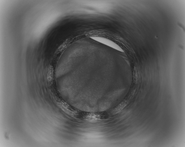 X0000099570760200806131256