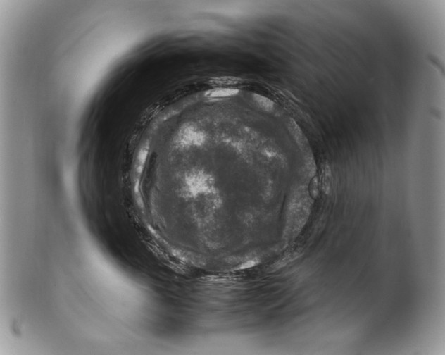 X0000099570763200806131256