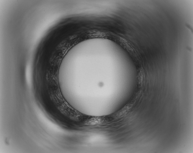 X0000099570764200806131256