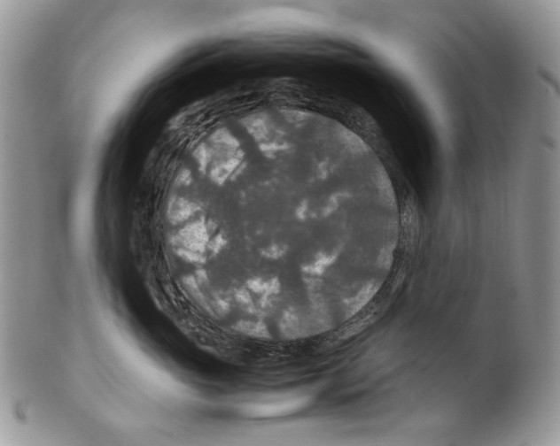 X0000099570765200806131256