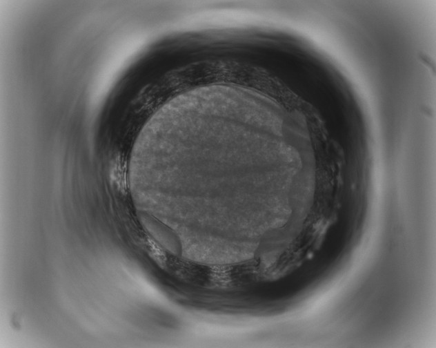 X0000099570766200806131256