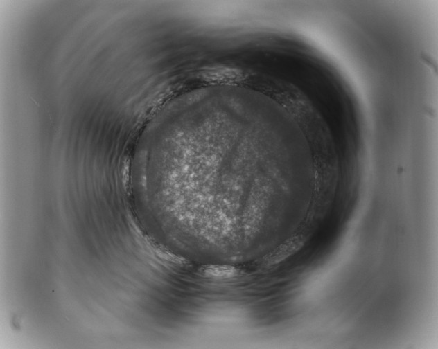 X0000099570767200806131256