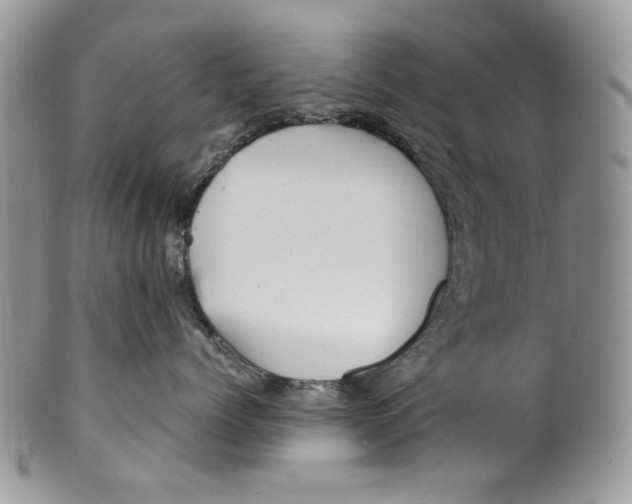 X0000099570768200806131256