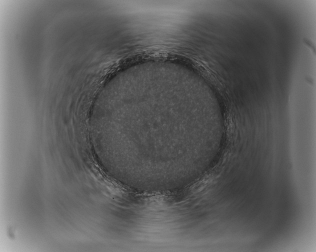 X0000099570769200806131256