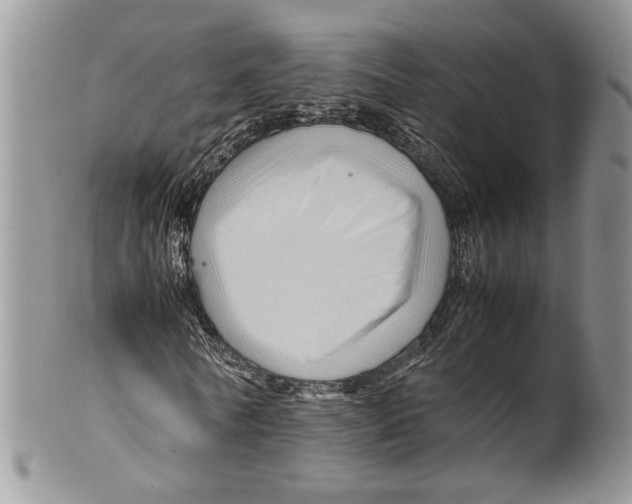 X0000099570770200806131256