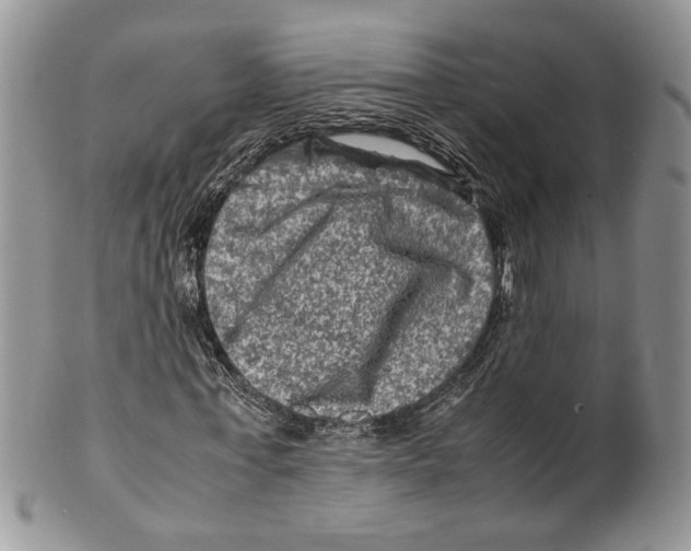 X0000099570771200806131256