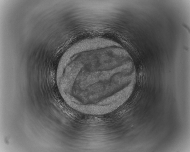 X0000099570772200806131256