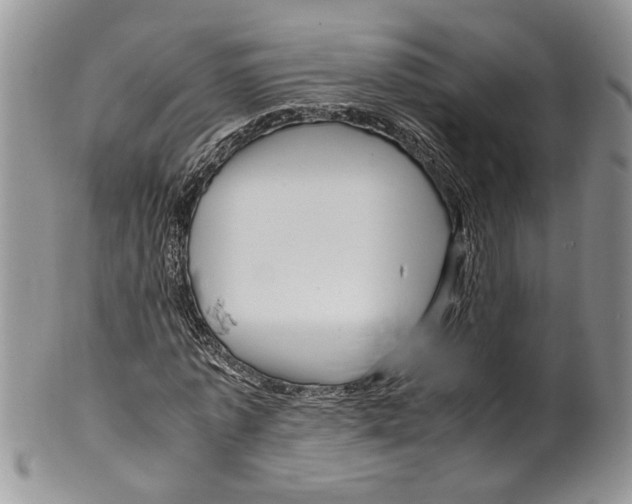 X0000099570773200806131256
