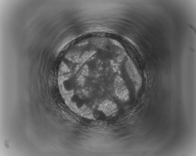 X0000099570775200806131255