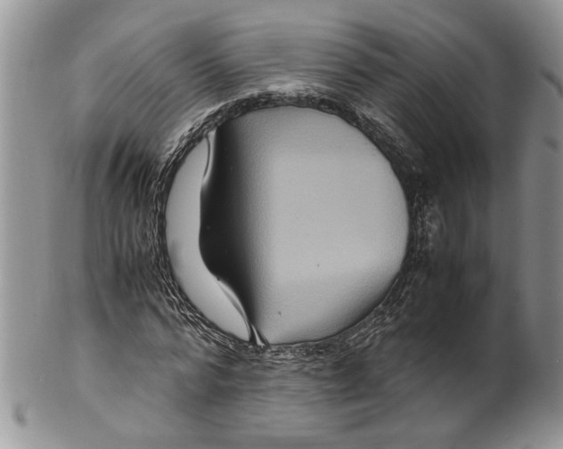 X0000099570776200806131255