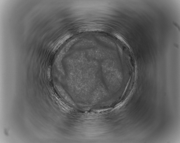 X0000099570777200806131255