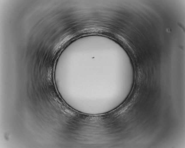 X0000099570778200806131255