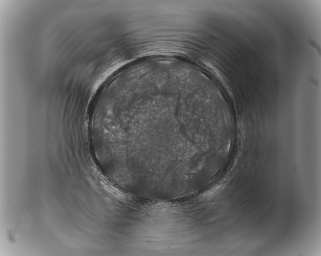X0000099570779200806131255