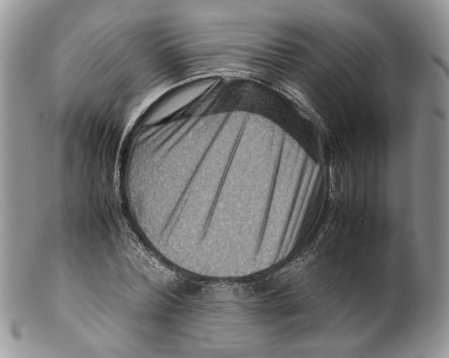 X0000099570780200806131255