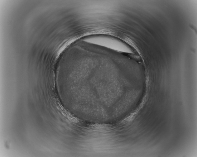 X0000099570781200806131255