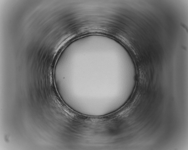 X0000099570782200806131255
