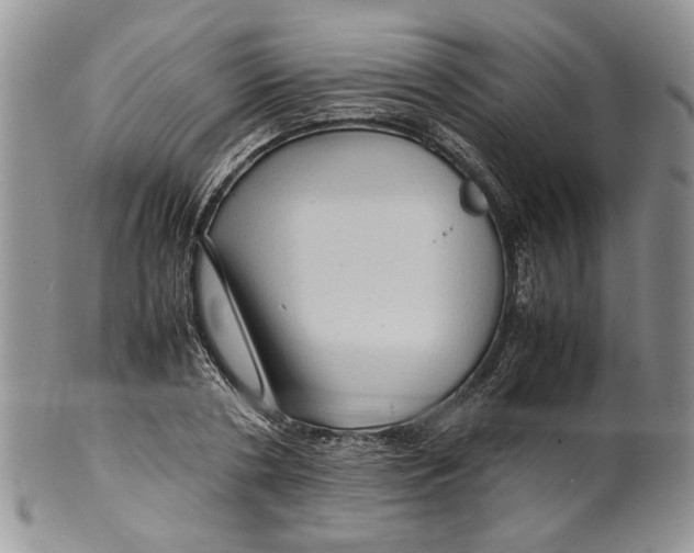 X0000099570786200806131255