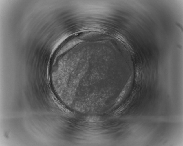 X0000099570788200806131255