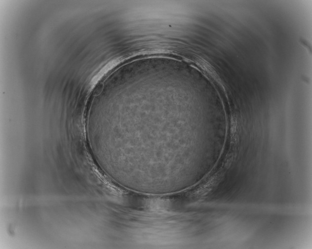 X0000099570789200806131255