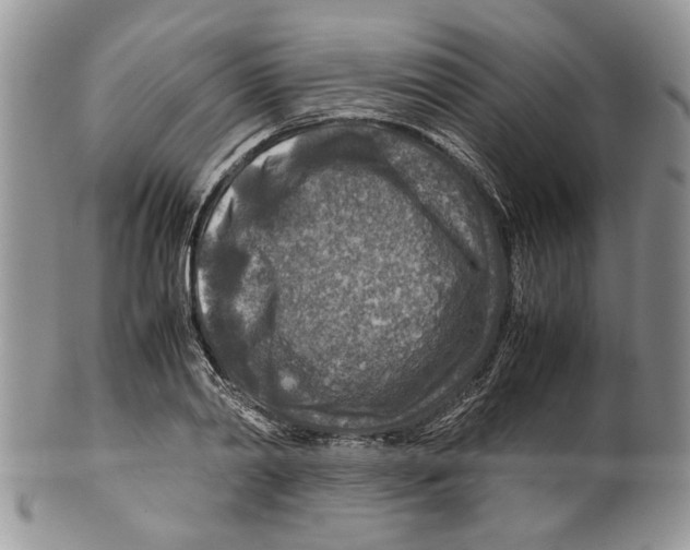 X0000099570790200806131255