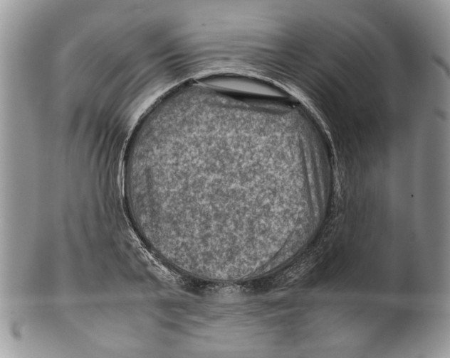 X0000099570791200806131255