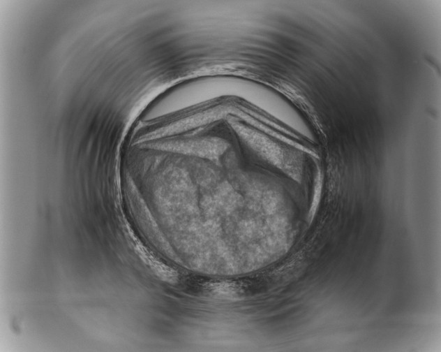 X0000099570792200806131255