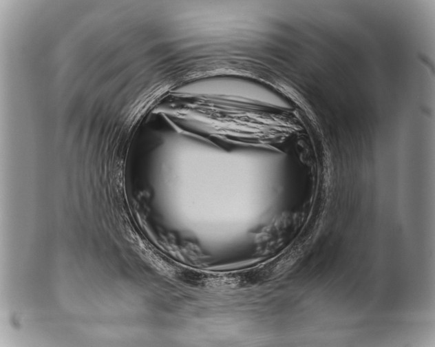 X0000099570793200806131255