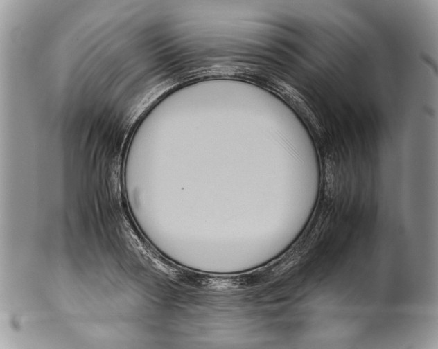 X0000099570794200806131255