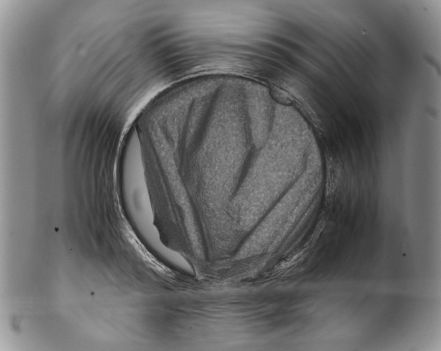 X0000099570796200806131255