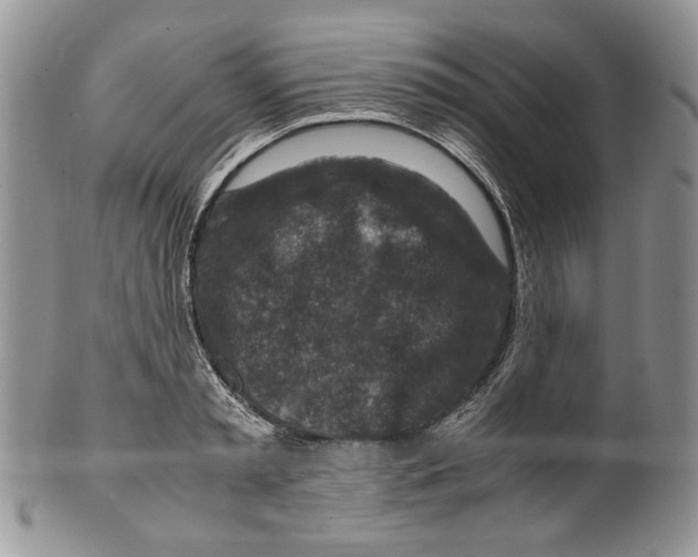 X0000099570797200806131255