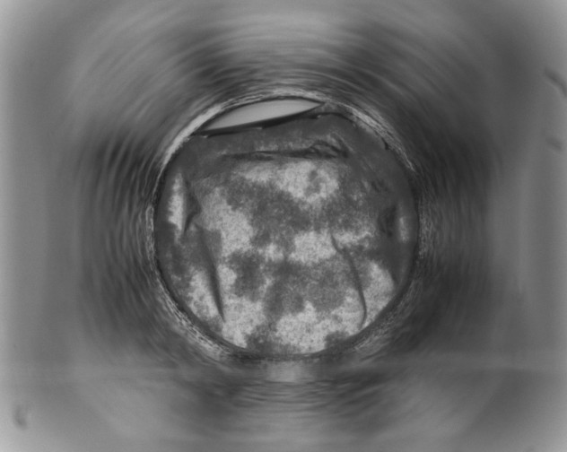X0000099570798200806131255