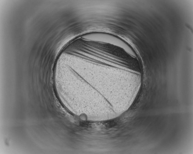 X0000099570799200806131255