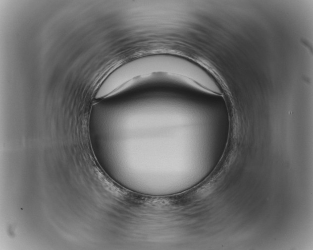 X0000099570801200806131255