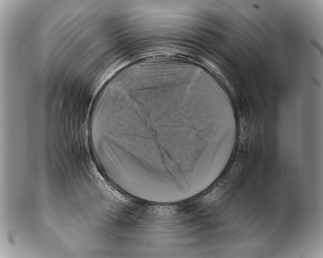 X0000099570802200806131255