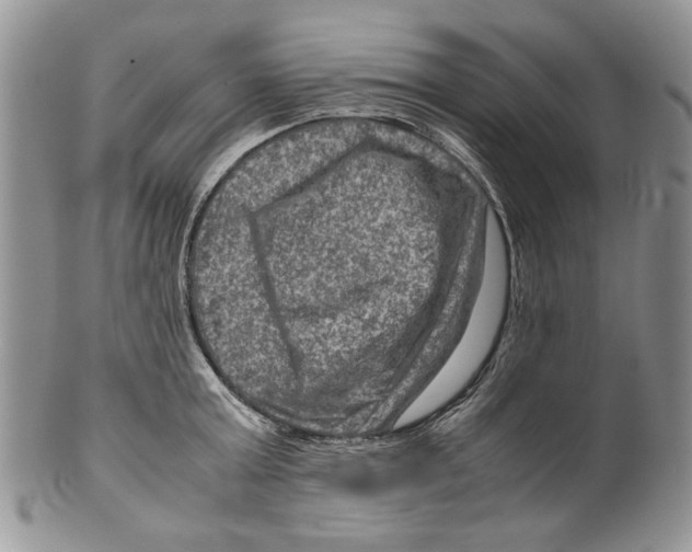 X0000099570803200806131255