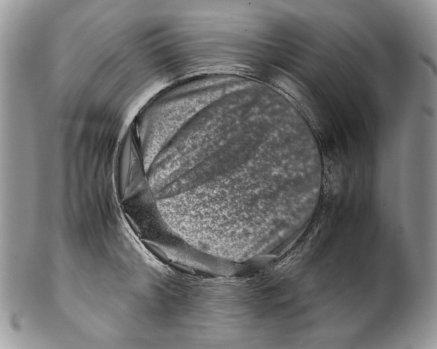 X0000099570804200806131255