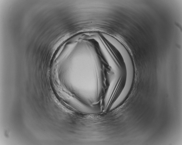 X0000099570805200806131255
