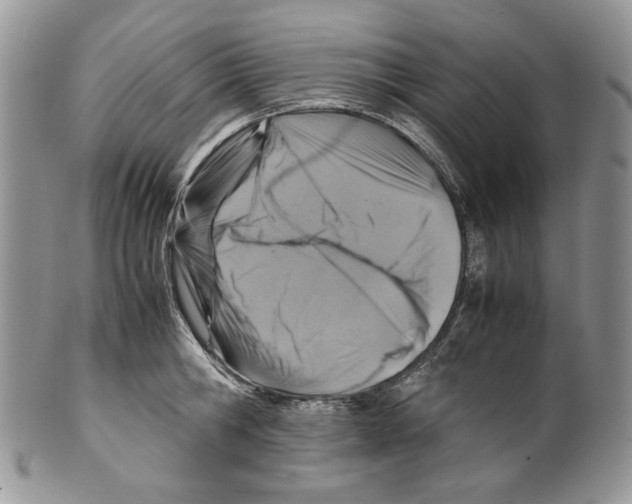 X0000099570806200806131255