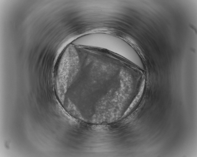 X0000099570808200806131255