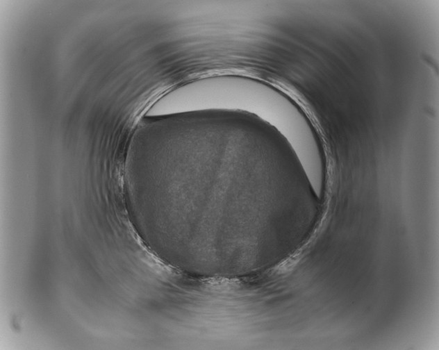X0000099570809200806131255