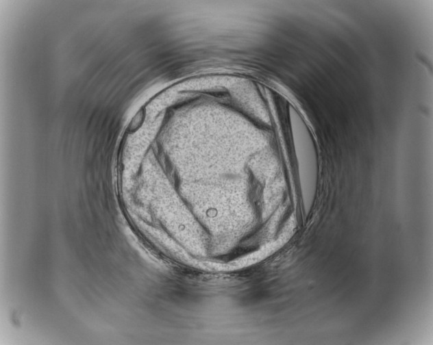 X0000099570811200806131255