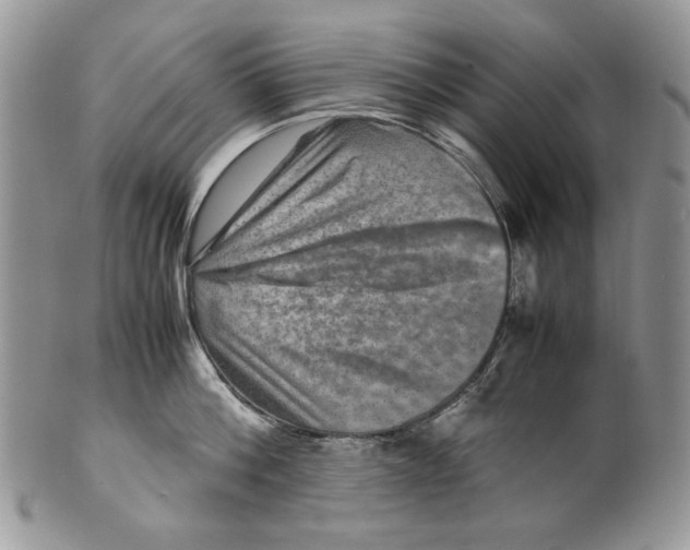 X0000099570812200806131255
