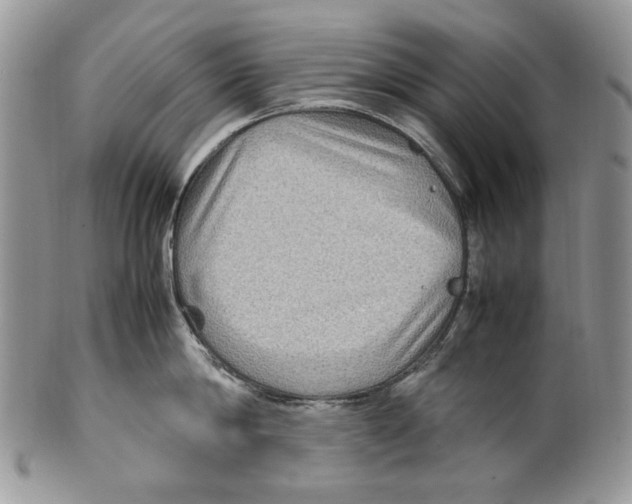 X0000099570814200806131255