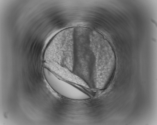 X0000099570816200806131255