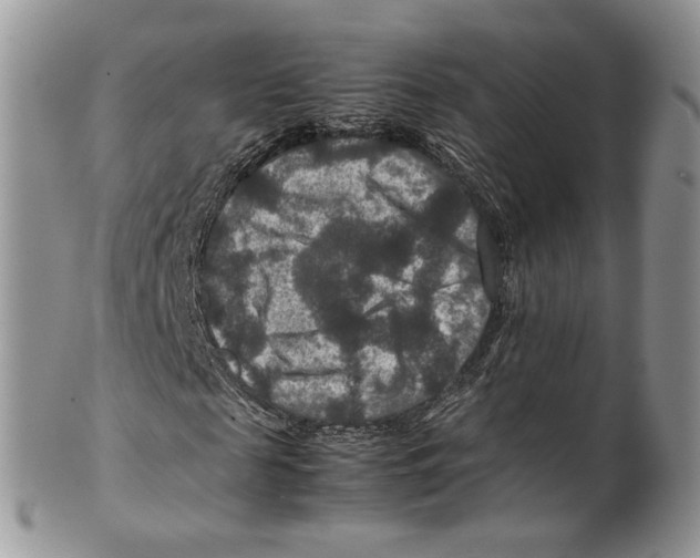 X0000099570817200806131254