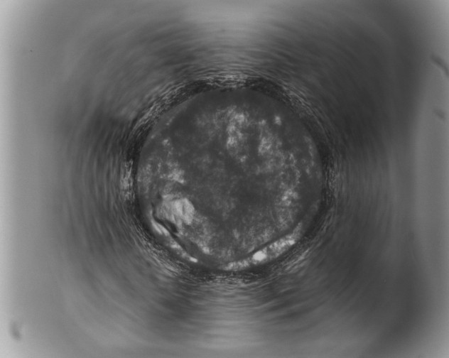 X0000099570818200806131254