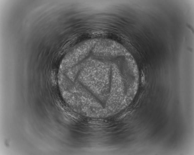 X0000099570819200806131254
