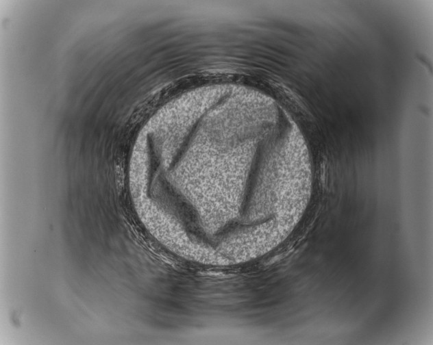 X0000099570821200806131254