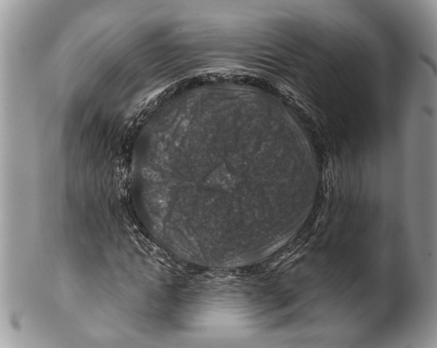 X0000099570822200806131254