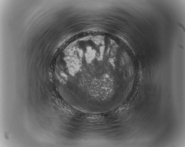 X0000099570823200806131254